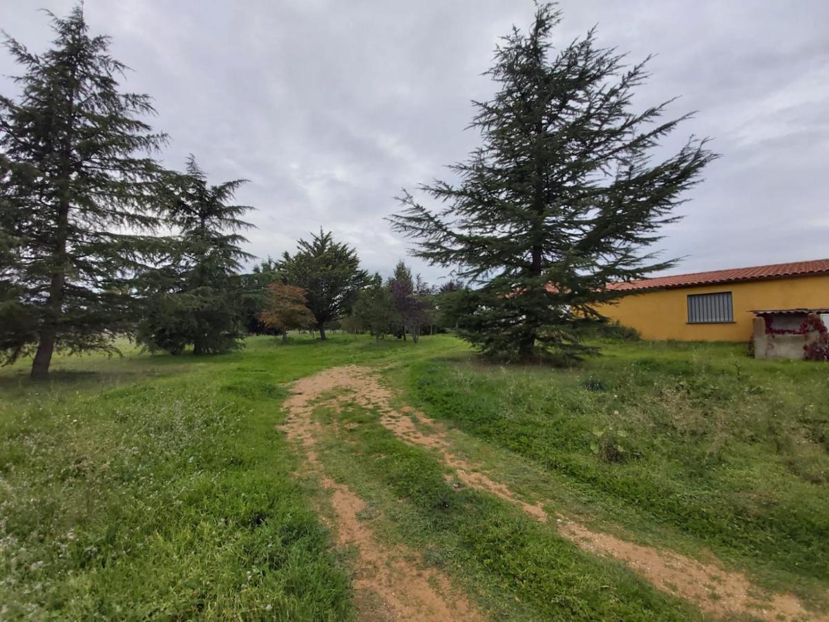 Casa Chalet En El Campo Barbadillo Экстерьер фото