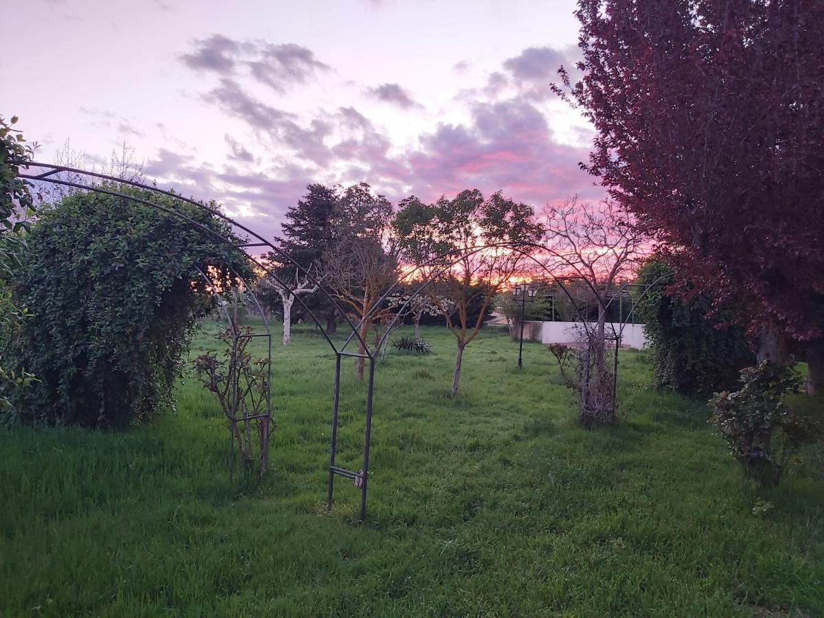 Casa Chalet En El Campo Barbadillo Экстерьер фото